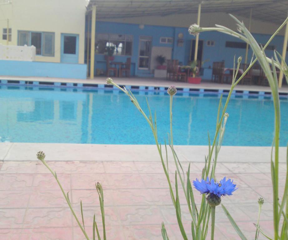 منتجعات سواراج بهاراتبور المظهر الخارجي الصورة